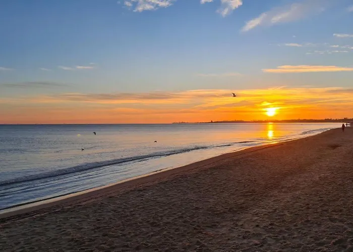 Nova Oliva Z Parkingiem アパート *