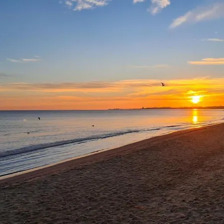 Nova Oliva Z Parkingiem Lägenhet *